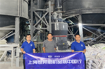 大磨粉机什么牌子好